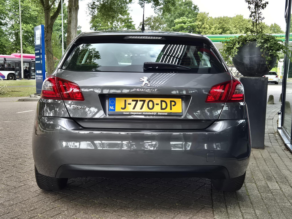 45929860-5.jpg