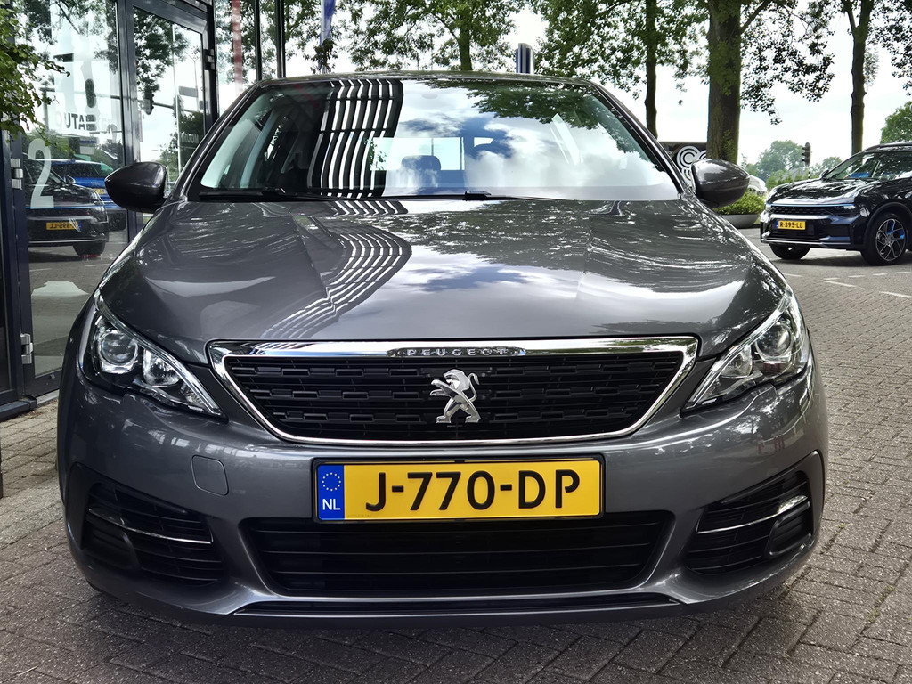 45929860-6.jpg