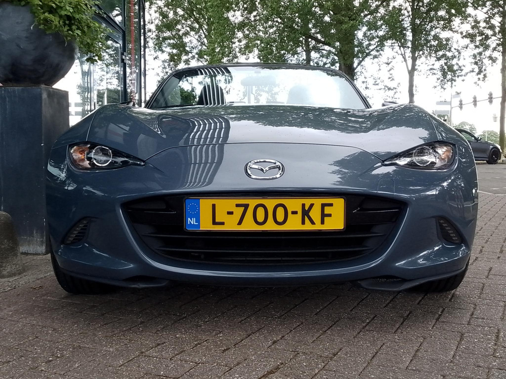 46176848-5.jpg