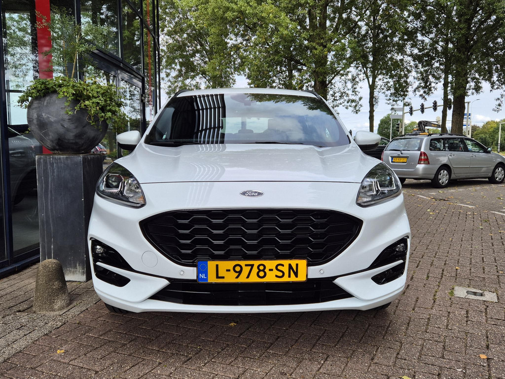 47404117-6.jpg