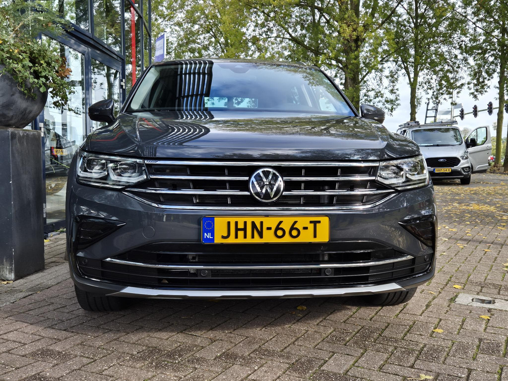 48549107-5.jpg