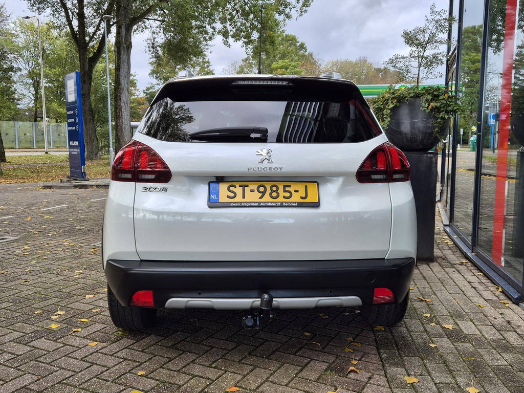 48675256-5.jpg