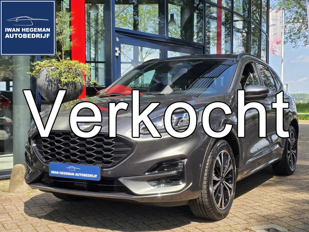 53315245