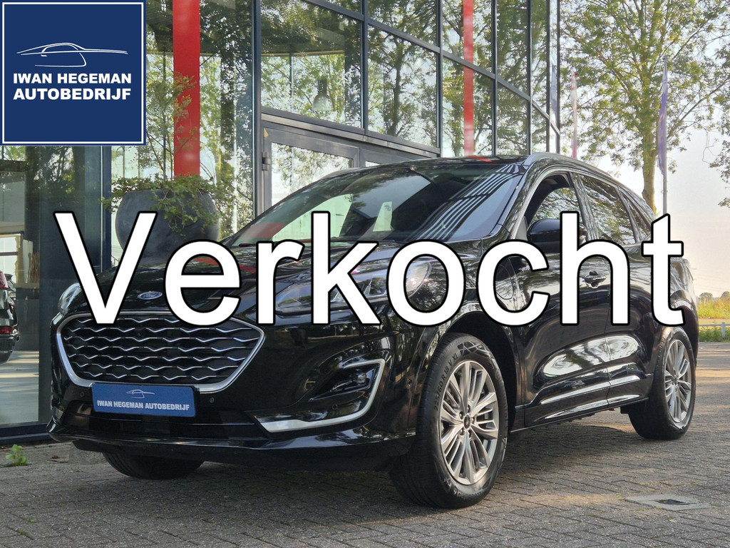 54973078
