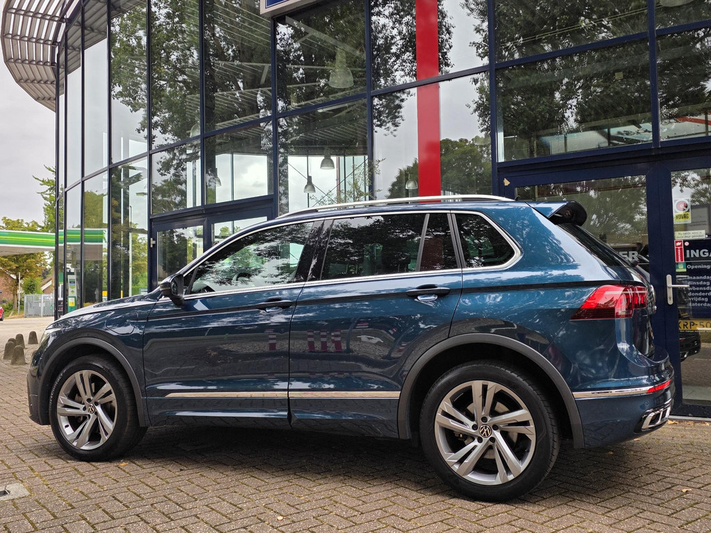 55993309-3.jpg